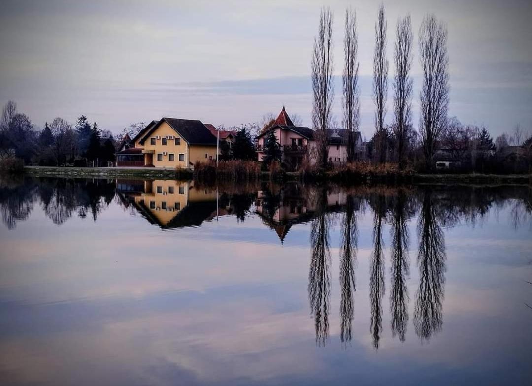 Guest House Vila Alexandar Palić Buitenkant foto