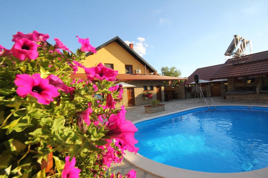 Guest House Vila Alexandar Palić Buitenkant foto